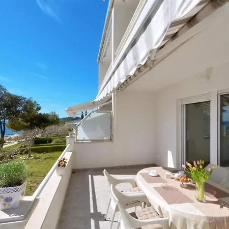 Nina * 罗戈兹尼察